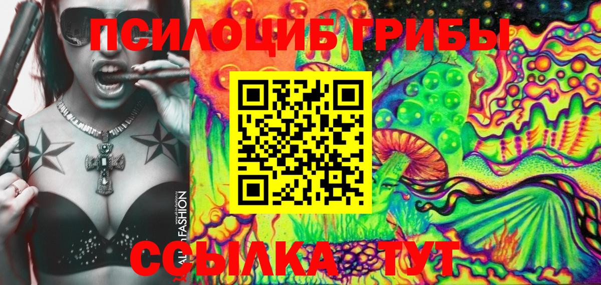 Каспийск  Галлюциногенные грибы Psilocybine cubensis  Вход с VPN 