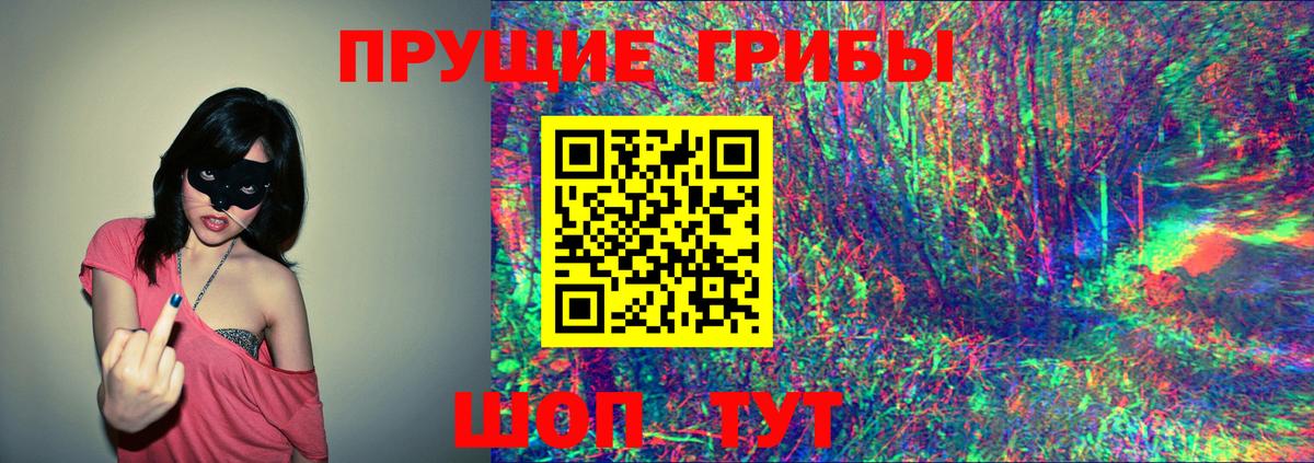 Псилоцибиновые грибы Psilocybe Каспийск